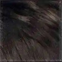 Complete Hair Color Solution